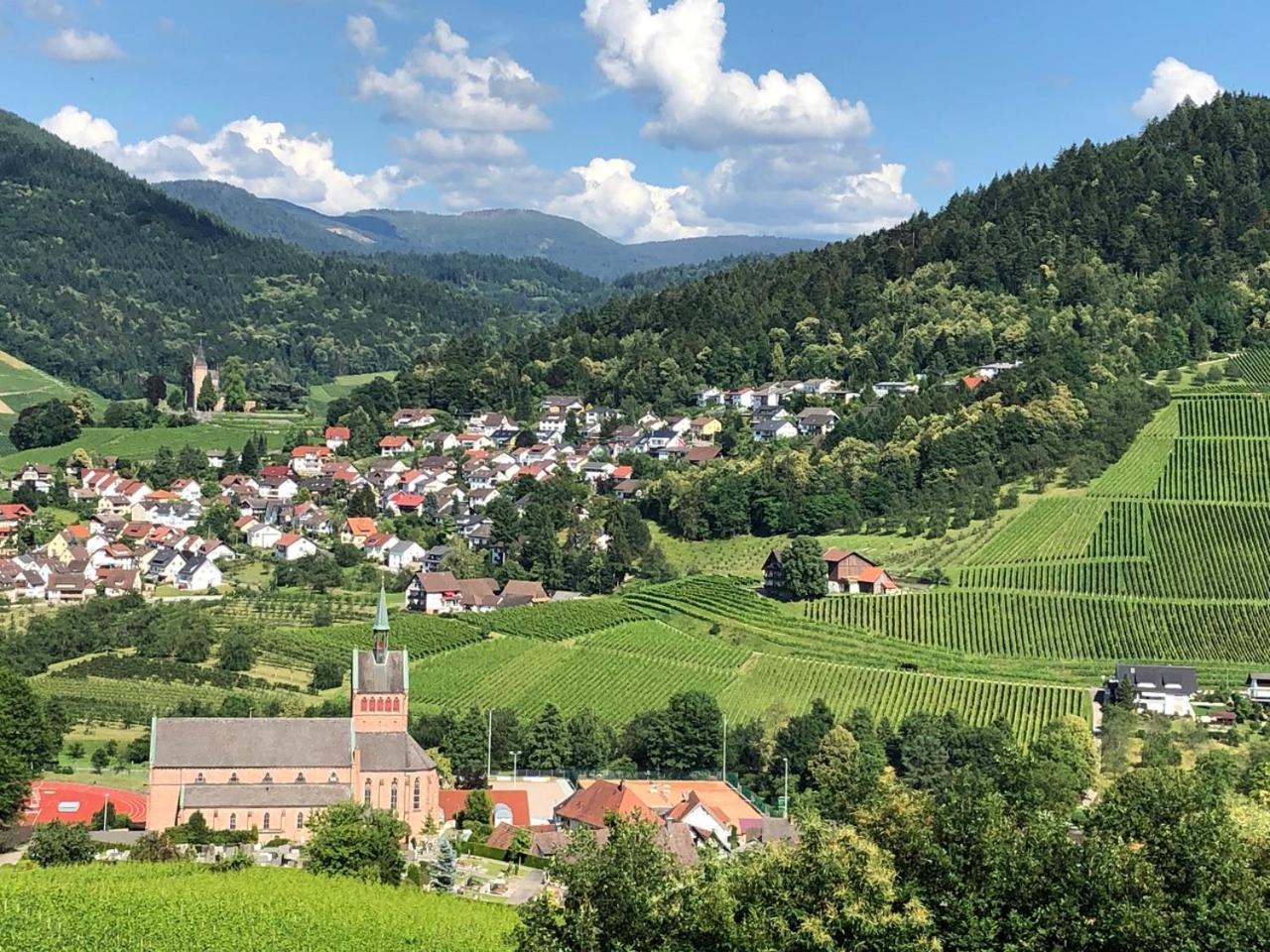 Appartamento Azuria Schwarzwald Loft Kappelrodeck Esterno foto